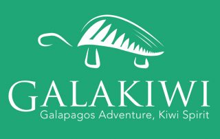 Galakiwi Logo Design