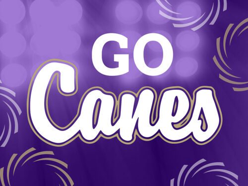 Go Canes Yard Sign, Cartersville