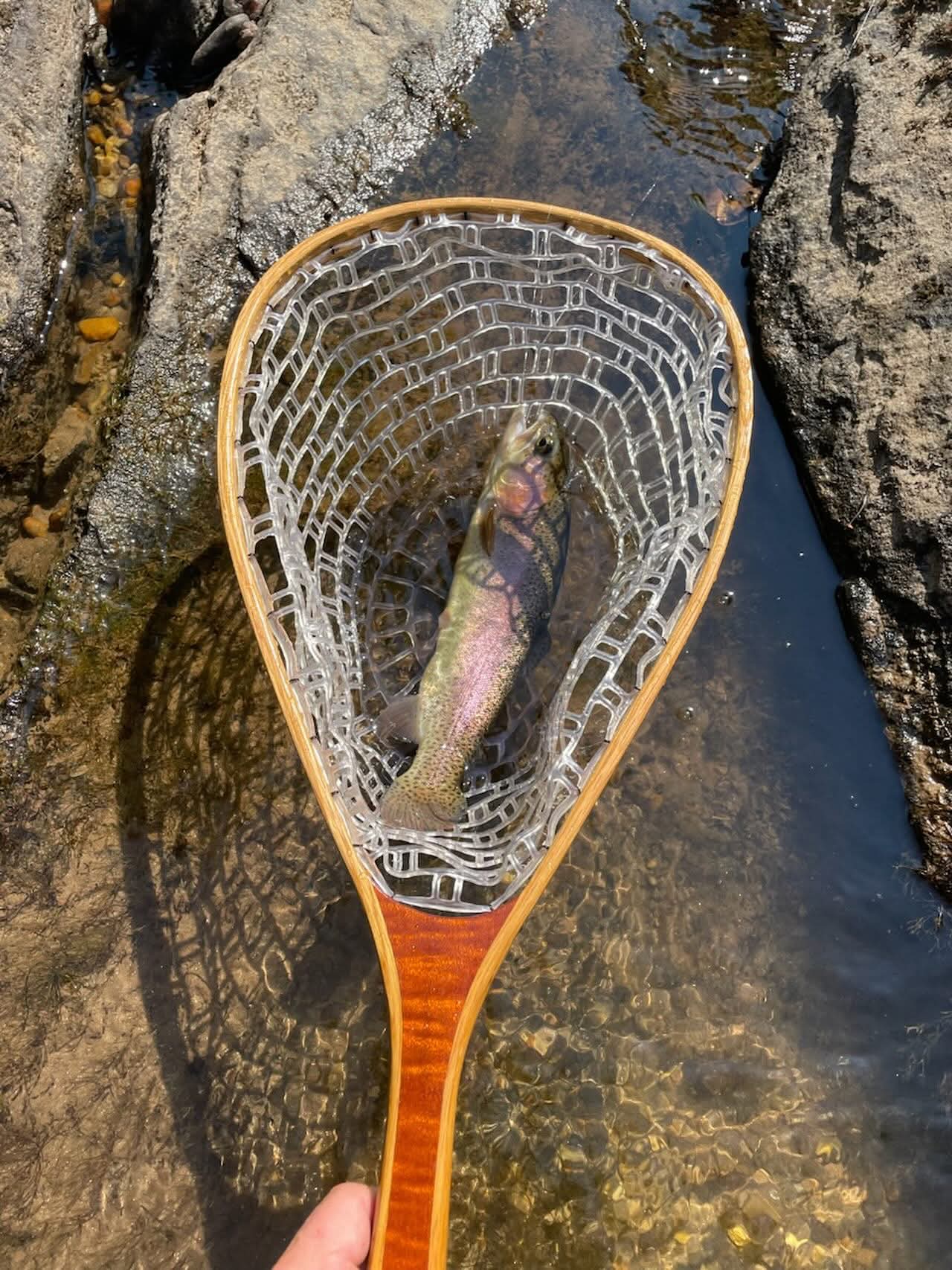 facebook_1752695434117_7351337470100095820 APM Woodworks Custom Landing Net